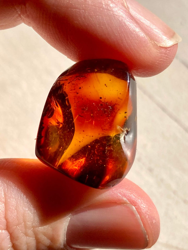Amber Crystal Specimen (Rare Red Mayan Amber)