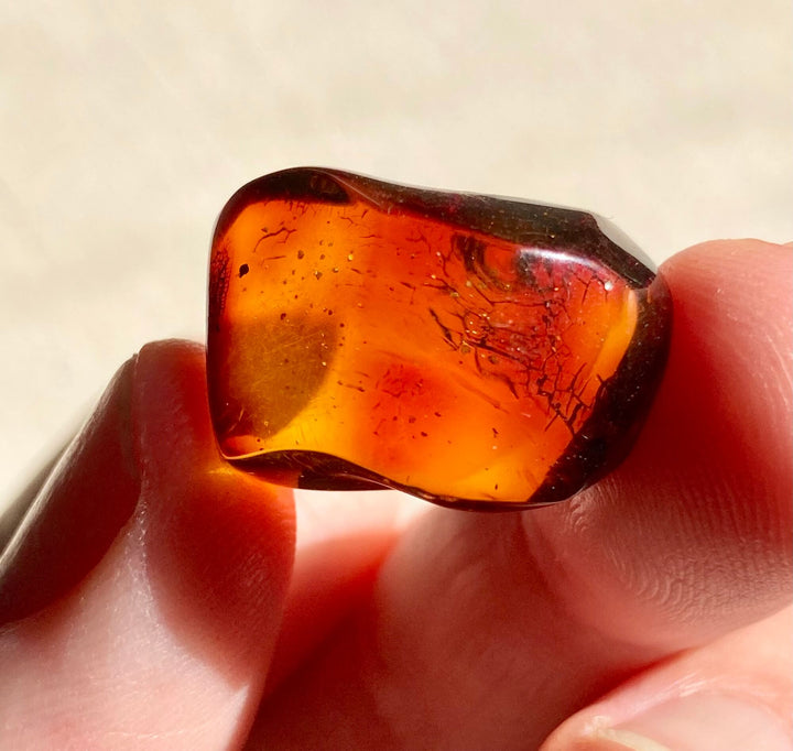 Amber Crystal Specimen (Rare Red Mayan Amber)